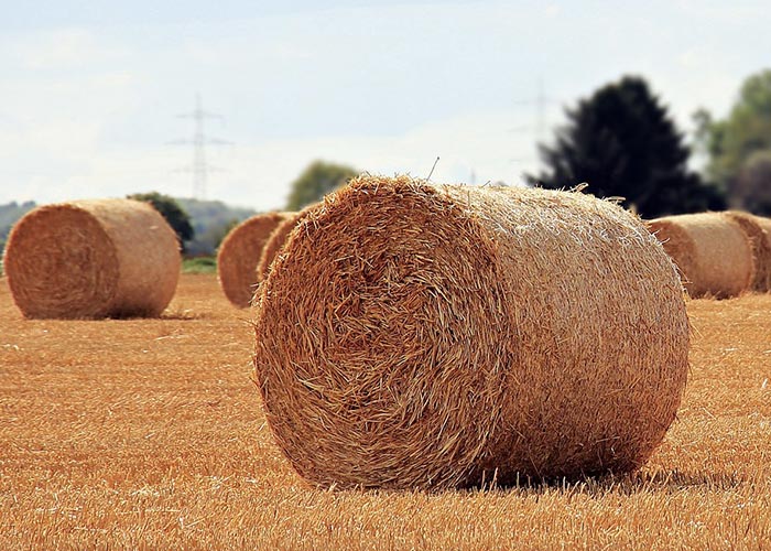 Vente de paille - Litière - Foin/fourrage - Compost | Vendée (85)
