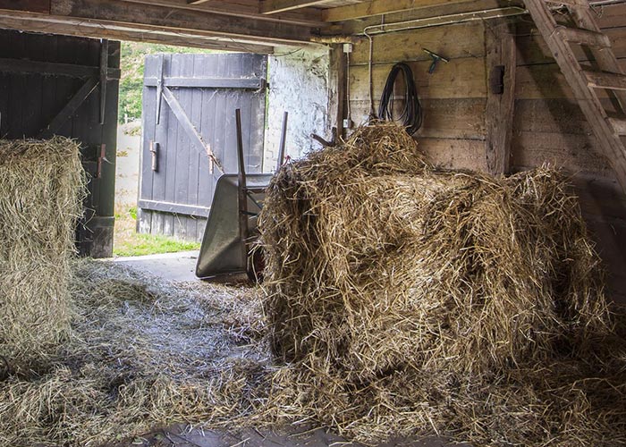 Vente de paille - Litière - Foin/fourrage - Compost | Vendée (85)